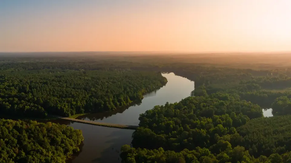 Arial view of a river running between green forests.