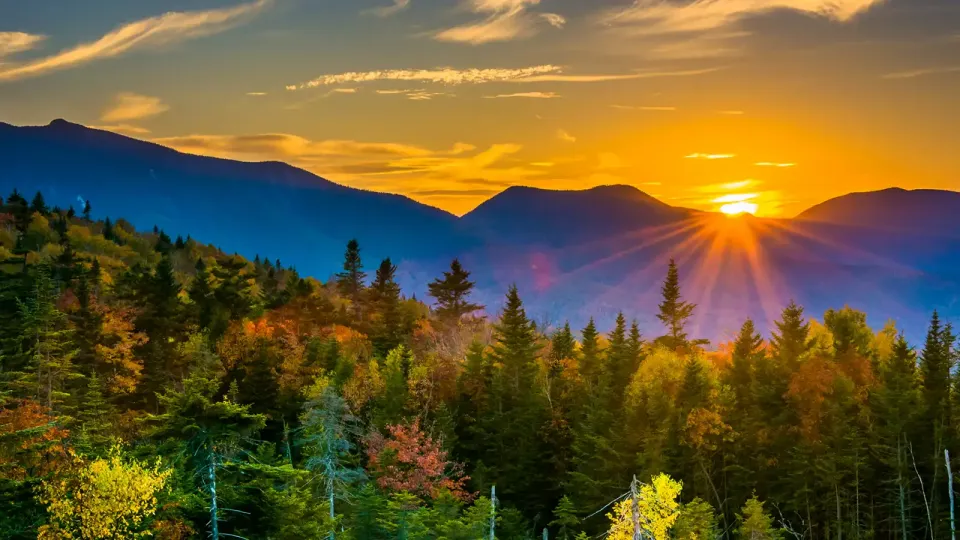 Tops of autumn trees with mountains in the distance at sunset