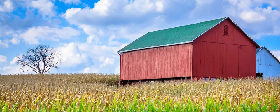 Ohio corn field with red barn and blue sky